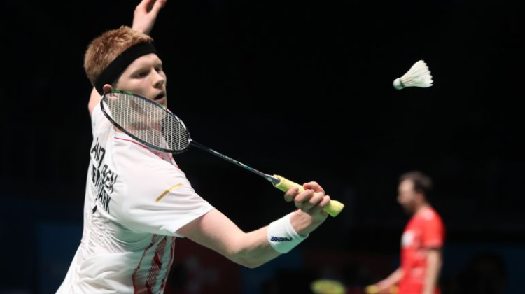 球迷和分析 球迷和分析